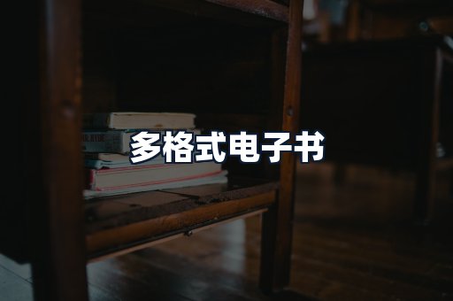 多格式电子书